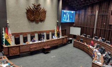 El MAS aprueba dos leyes con rodillo y reflota la tensión