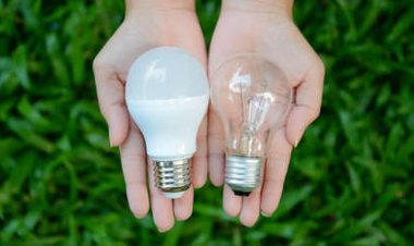 Los focos LED, consumen el 80% menos energía que los focos incandescentes.