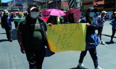 Paro contra la 1386 suma adhesiones, el MAS llama a sus bases a salir a las calles