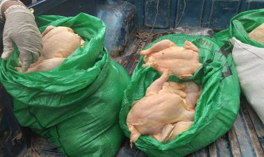 En Tarija decomisan más de 150 kilos de pollo no apto para el consumo