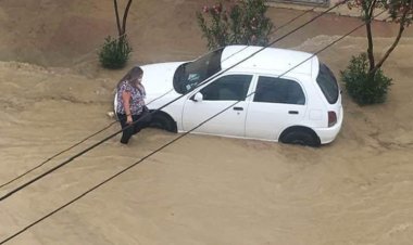 En Tarija intensa lluvia provoca caída de árboles e inundaciones