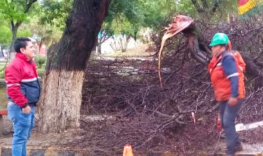 Reporte Municipal de daños tras la torrencial lluvia en la ciudad de Tarija