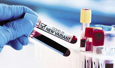 Alertan de riesgo global por nueva variante del covid-19, ómicron; Japón se encierra