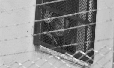 La Fiscalía presenta acusación formal contra Añez por caso Golpe de Estado II