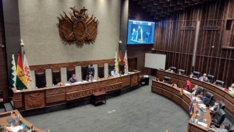 El MAS aprueba dos leyes con rodillo y reflota la tensión