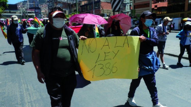 Paro contra la 1386 suma adhesiones, el MAS llama a sus bases a salir a las calles
