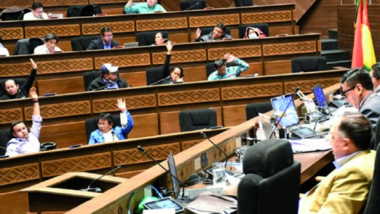 El MAS abroga la Ley 1386 en la Cámara de Diputados