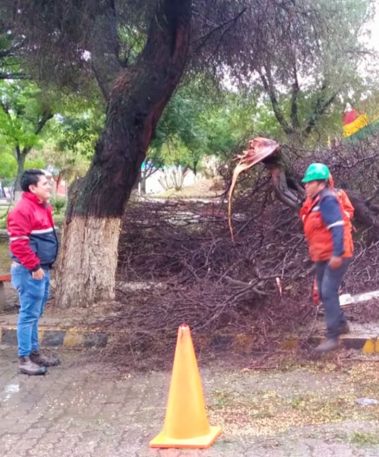 Reporte Municipal de daños tras la torrencial lluvia en la ciudad de Tarija