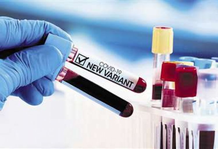 Alertan de riesgo global por nueva variante del covid-19, ómicron; Japón se encierra