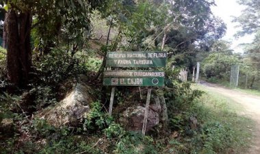 Tariquía en alerta ante el probable ingreso de las petrolíferas a la región de Astilleros