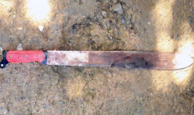 Sujeto intentó asesinar con un “machete” a su pareja de 17 años