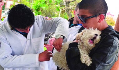 En Potosí, padre de una niña que murió por rabia anuncia querella contra veterinario