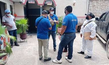 Hallan a una mujer sin vida con 15 puñaladas en un alojamiento al que dicen que ingresó con su pareja