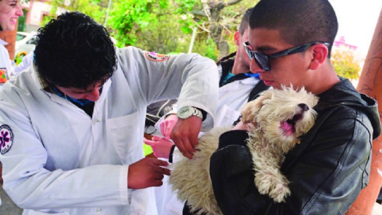 En Potosí, padre de una niña que murió por rabia anuncia querella contra veterinario