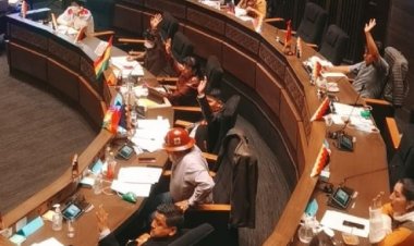 Senado aprueba licencia sin salario para el senador del MAS sindicado de violación
