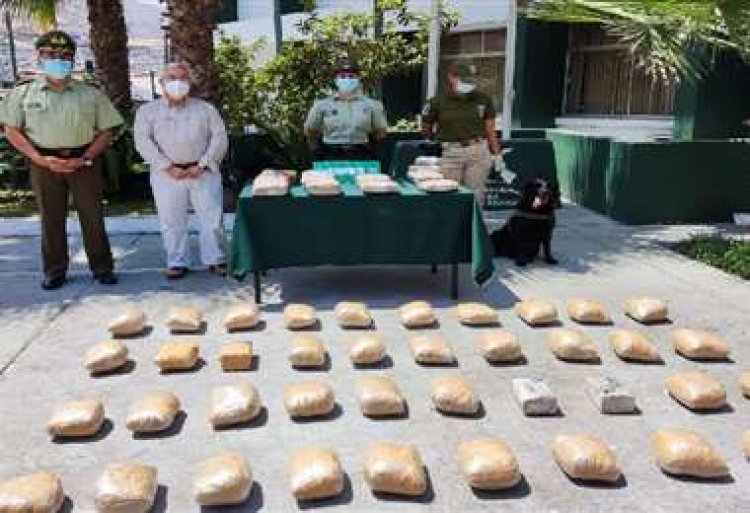 Cinco bolivianos son detenidos con 55 kilos de droga en Tarapacá