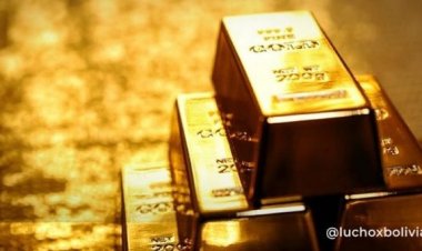 Minería confirma que Amit Dixit fugó del país con ayuda de fiscales y 331 kilos de oro