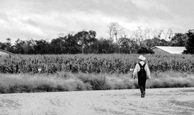 Denuncian otro caso de violación con múltiples víctimas en comunidad menonita Belice