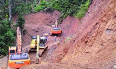 Más de 60 instituciones urgen anular concesiones mineras que amenazan al Madidi