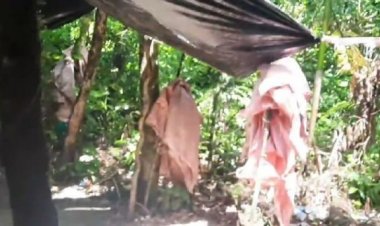 Tras denuncia de Evo, Felcn ejecuta operativos en el trópico y halla cuatro fábricas de droga