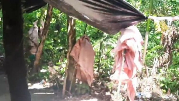 Tras denuncia de Evo, Felcn ejecuta operativos en el trópico y halla cuatro fábricas de droga