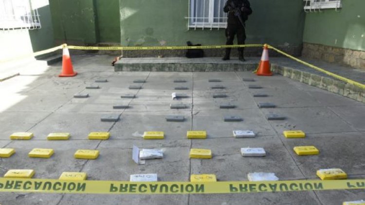 En cuatro operativos, Policía se incauta de 18.000 kilos de marihuana y 61 de cocaína