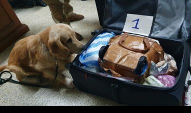 Una Mujer pretendía traficar droga a Panamá en un termo con salteñas