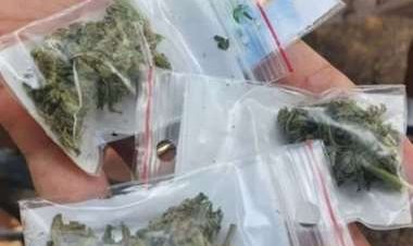 Santa Cruz: Una niña de 13 años es descubierta con marihuana en el aula de su unidad educativa