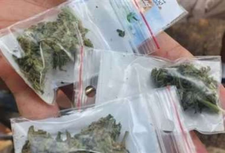 Santa Cruz: Una niña de 13 años es descubierta con marihuana en el aula de su unidad educativa