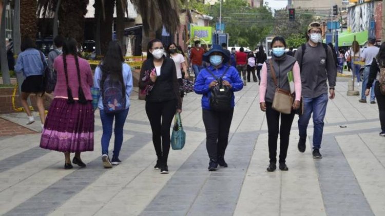 Identifican a 75 docentes sin título académico en UMSS de Cochabamba
