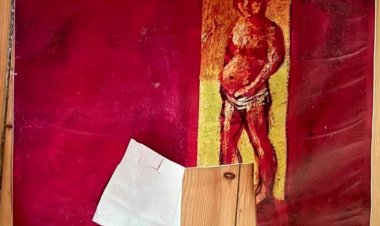 Indignación por el destrozo de cuadros de la artista Stih; la Felcn pide informes