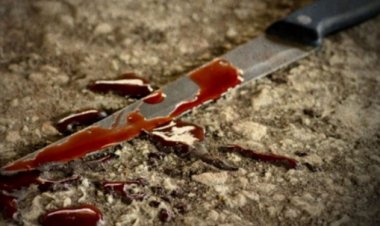 Menor de 14 años es acusada de apuñalar y quitarle la vida a su hermano