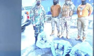 Aduana incauta 31 envoltorios de droga camuflada en yutes con detergente