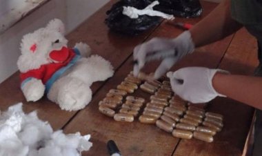 Usan un oso de peluche para traficar droga de Bolivia a Argentina
