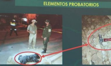 Asesinan a un perro a martillazos en Cochabamba