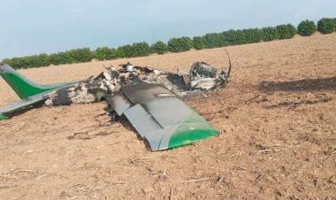Avioneta se estrella en una colonia menonita y la Felcn indaga si transportaba droga
