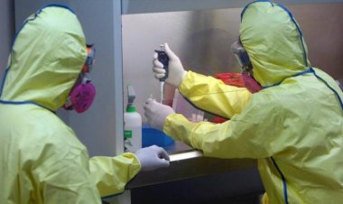 Salud confirma sexto caso de viruela del mono en el país