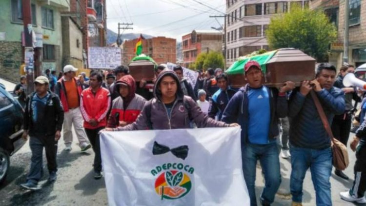 Conflicto entre el Gobierno y Adepcoca ya dejó 8 muertos en cinco años
