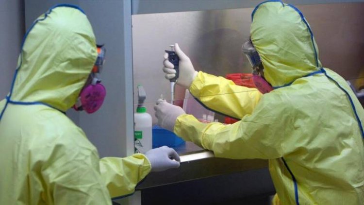 Salud confirma sexto caso de viruela del mono en el país