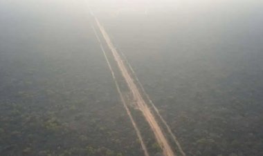 Destruyen pista clandestina en Charagua y secuestran avioneta con 369 kilos de droga