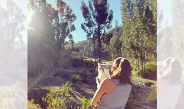 BoA concilia con la dueña del gato Tito y cierran el caso