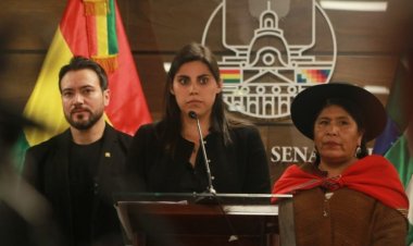 Presentaron acción de inconstitucionalidad contra el cobro por uso de vidrios polarizados