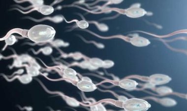 Prueban píldora anticonceptiva masculina para ser infértil por 24 horas