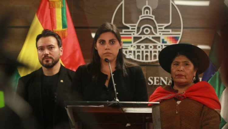 Presentaron acción de inconstitucionalidad contra el cobro por uso de vidrios polarizados