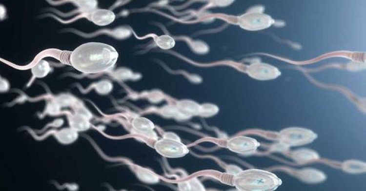 Prueban píldora anticonceptiva masculina para ser infértil por 24 horas