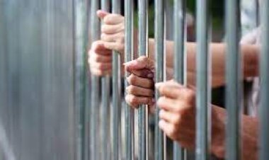 SENTENCIAN A 20 AÑOS DE CÁRCEL A DOS SUJETOS QUE INTENTARON QUITARLE LA VIDA A SUS PAREJAS EN TARIJA