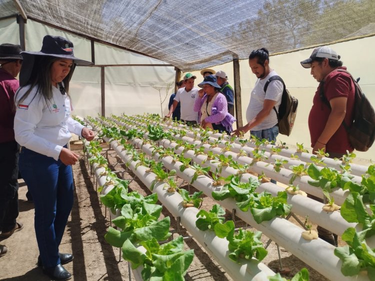 En Tarija se implementarán programas de apoyo al emprendedor y socio productivo