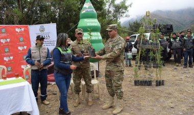 “Abracemos un Árbol” una campaña de limpieza, regado y conservación de plantas en San Pedro de Sola