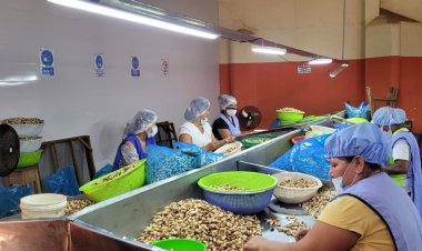 Las mujeres tienen asueto de media jornada laboral este miércoles 11 de octubre