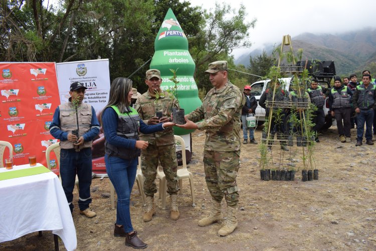 “Abracemos un Árbol” una campaña de limpieza, regado y conservación de plantas en San Pedro de Sola